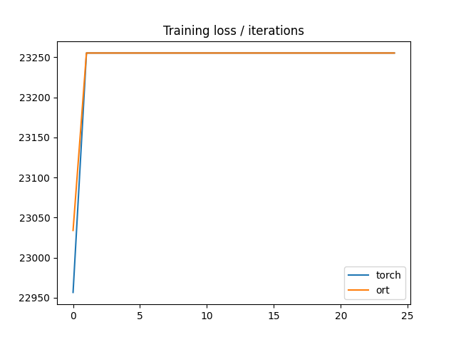 Training loss / iterations